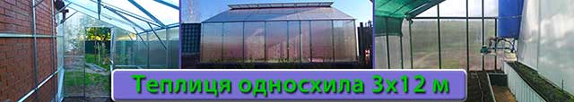 теплиця з односхилим дахом 3х12
