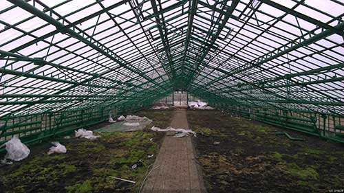 Промислові теплиці